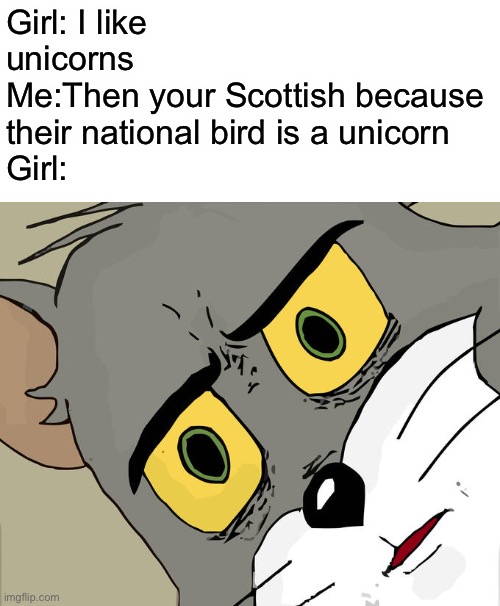 Unsettled Tom | Girl: I like unicorns
Me:Then your Scottish because their national bird is a unicorn
Girl: | image tagged in memes,unsettled tom | made w/ Imgflip meme maker