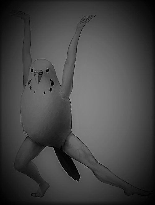 dancing bird Blank Meme Template