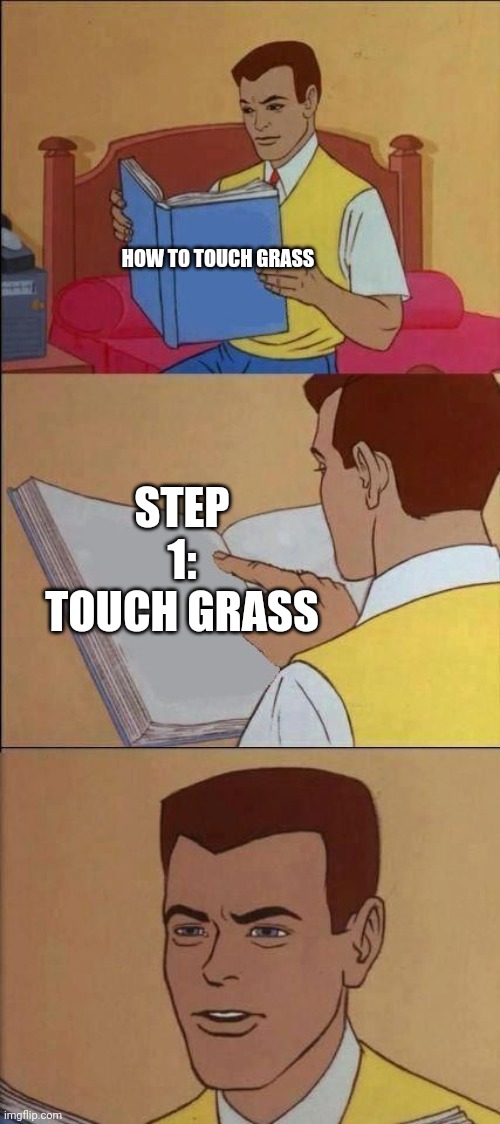 Lol | HOW TO TOUCH GRASS; STEP 1: TOUCH GRASS | image tagged in book of idiots | made w/ Imgflip meme maker