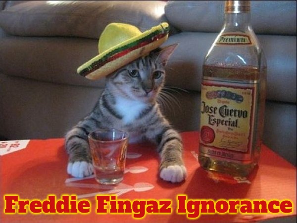 finals cinco de mayo | Freddie Fingaz Ignorance | image tagged in finals cinco de mayo,freddie fingaz ignorance,freddie fingaz | made w/ Imgflip meme maker