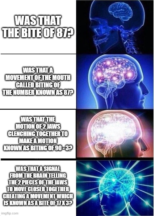 Expanding Brain Meme | WAS THAT THE BITE OF 87? WAS THAT A MOVEMENT OF THE MOUTH CALLED BITING OF THE NUMBER KNOWN AS 87? WAS THAT THE MOTION OF 2 JAWS CLENCHING TOGETHER TO MAKE A MOTION KNOWN AS BITING OF 90 - 3? WAS THAT A SIGNAL FROM THE BRAIN TELLING THE 2 PIECES OF THE JAWS TO MOVE CLOSER TOGETHER CREATING A MOVEMENT WHICH IS KNOWN AS A BITE OF 17 X 3? | image tagged in memes,expanding brain | made w/ Imgflip meme maker