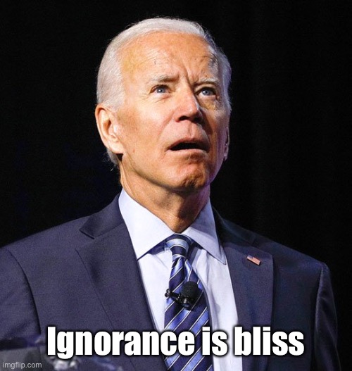 Joe Biden | Ignorance is bliss | image tagged in joe biden | made w/ Imgflip meme maker