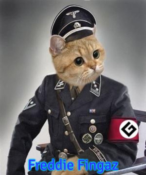 Grammar Nazi Cat | Freddie Fingaz | image tagged in grammar nazi cat,freddie fingaz | made w/ Imgflip meme maker