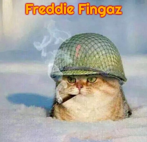 War Cat |  Freddie Fingaz | image tagged in war cat,slavic lives matter,freddie fingaz | made w/ Imgflip meme maker