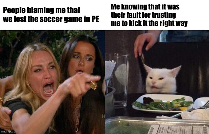 Why are they so aggressive though | People blaming me that we lost the soccer game in PE; Me knowing that it was their fault for trusting me to kick it the right way | image tagged in memes,woman yelling at cat | made w/ Imgflip meme maker