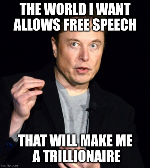the real reason he wants to buy twitter |  THE WORLD I WANT ALLOWS FREE SPEECH; THAT WILL MAKE ME
 A TRILLIONAIRE | image tagged in musk,conspiracy,in,plain,sight | made w/ Imgflip meme maker