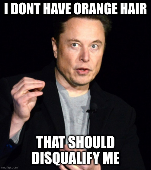 musk | I DONT HAVE ORANGE HAIR; THAT SHOULD DISQUALIFY ME | image tagged in musk | made w/ Imgflip meme maker