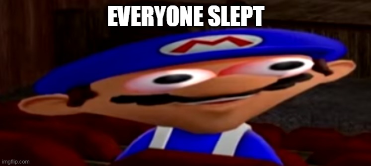 smg4 stare | EVERYONE SLEPT | image tagged in smg4 stare | made w/ Imgflip meme maker