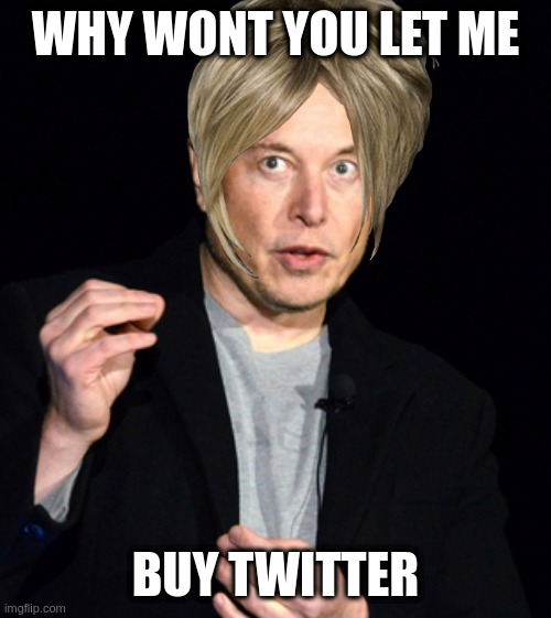 musk |  WHY WONT YOU LET ME; BUY TWITTER | image tagged in musk | made w/ Imgflip meme maker