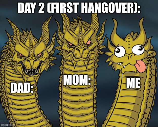 wait but what was the first one like? | DAY 2 (FIRST HANGOVER):; MOM:; ME; DAD: | image tagged in three-headed dragon | made w/ Imgflip meme maker