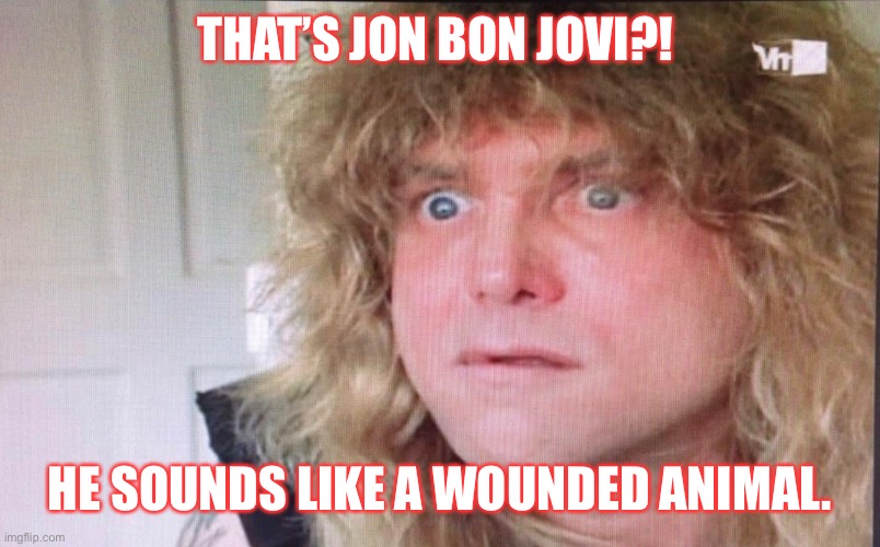 Jon Bon Jovi | THAT’S JON BON JOVI?! HE SOUNDS LIKE A WOUNDED ANIMAL. | image tagged in bon jovi,singer,rock and roll | made w/ Imgflip meme maker