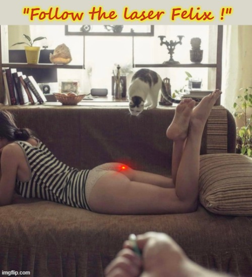 Laser fun with Felix ! | image tagged in claws | made w/ Imgflip meme maker