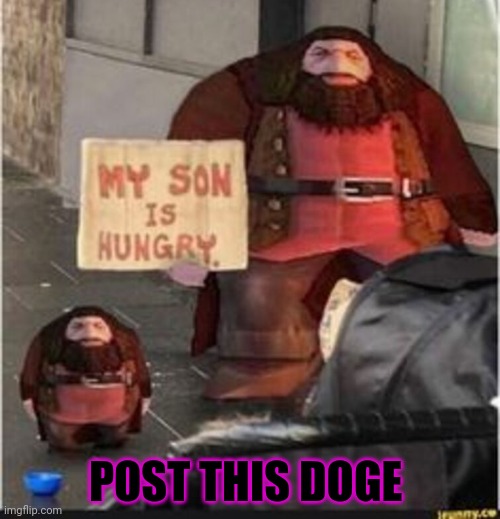 Just post the Doge... | POST THIS DOGE | image tagged in post this doge,doggo week,funny dogs | made w/ Imgflip meme maker