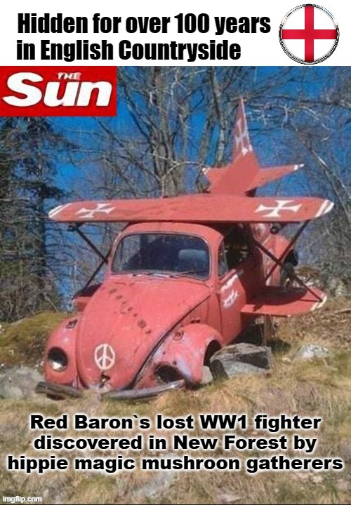 Hippies find Red Baron | image tagged in magic mushrooms | made w/ Imgflip meme maker