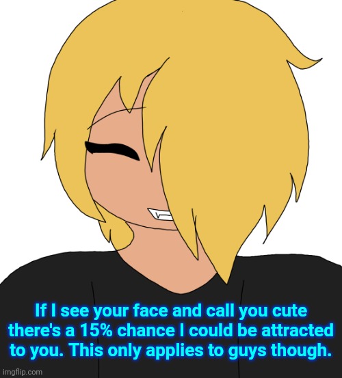 Spire smiling | If I see your face and call you cute there's a 15% chance I could be attracted to you. This only applies to guys though. | image tagged in spire smiling | made w/ Imgflip meme maker