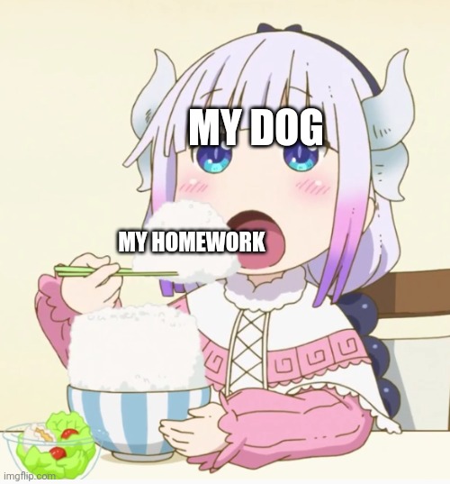My dog ate my homework | MY DOG; MY HOMEWORK | image tagged in kanna eating rice | made w/ Imgflip meme maker