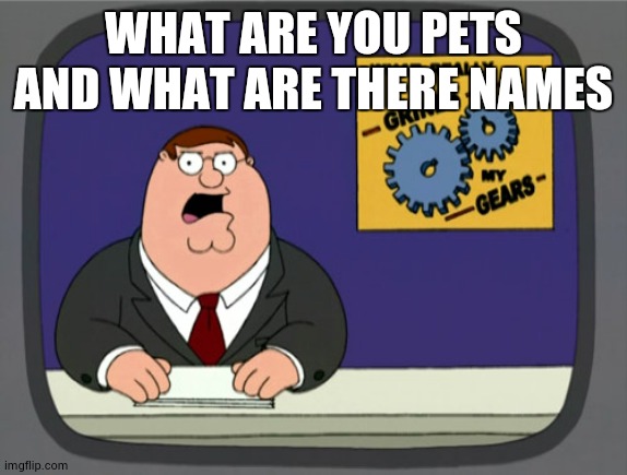 Mod note: no we are not pets and you should know our names |  WHAT ARE YOU PETS AND WHAT ARE THERE NAMES | image tagged in memes,peter griffin news,pets | made w/ Imgflip meme maker