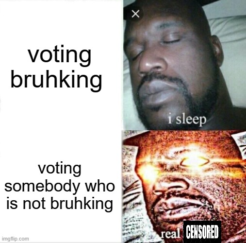 Sleeping Shaq Meme | voting bruhking; voting somebody who is not bruhking | image tagged in memes,sleeping shaq | made w/ Imgflip meme maker