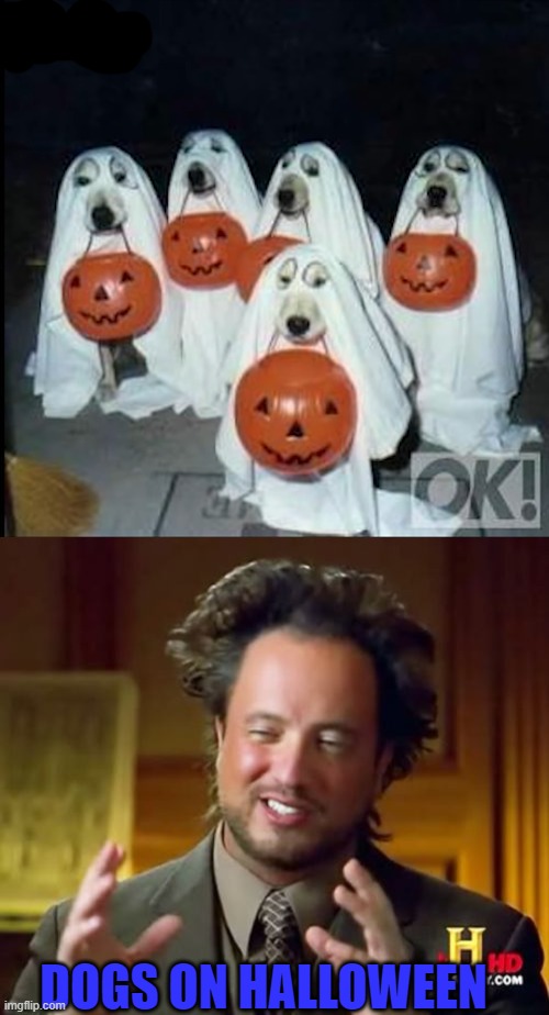 DOGS ON HALLOWEEN | image tagged in memes,ancient aliens | made w/ Imgflip meme maker