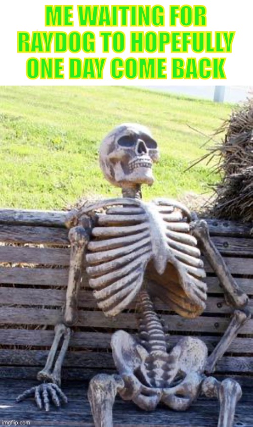 There memes were great and everyone liked them | ME WAITING FOR RAYDOG TO HOPEFULLY ONE DAY COME BACK | image tagged in memes,waiting skeleton,raydog | made w/ Imgflip meme maker