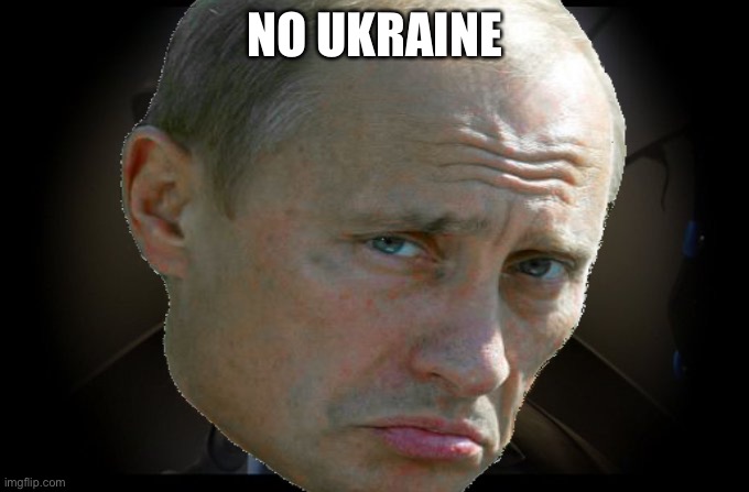 No Ukraine no hate to Ukraine | NO UKRAINE | image tagged in putin | made w/ Imgflip meme maker