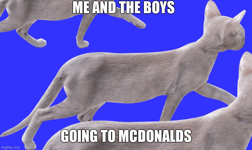 cats going to mcdonalds | ME AND THE BOYS; GOING TO MCDONALDS | image tagged in walking cat,mcdonalds,cats | made w/ Imgflip meme maker