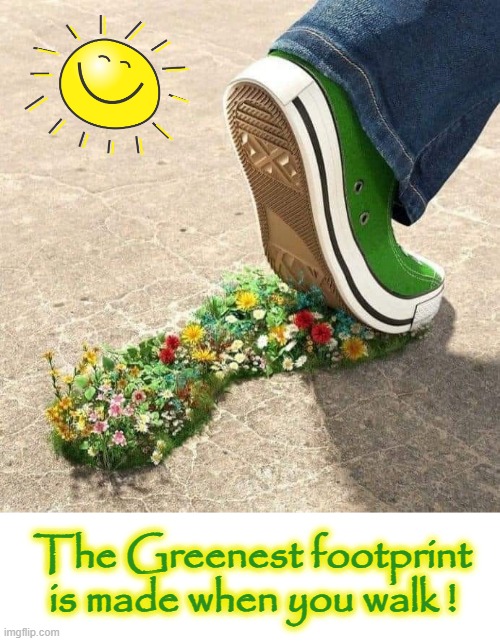 YOUR green footprint ? | The Greenest footprint
is made when you walk ! | image tagged in just walk away | made w/ Imgflip meme maker