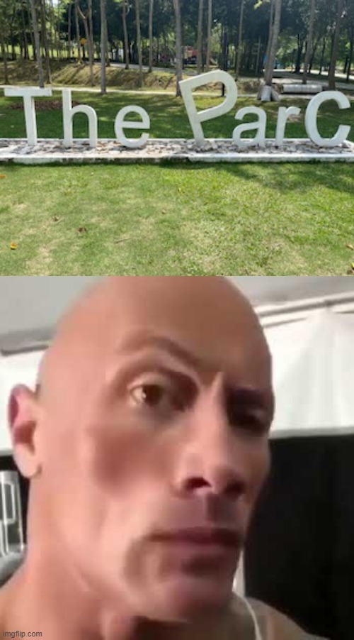 The ParC | image tagged in the rock eyebrows,typo,memes,funny,in real life,lmao | made w/ Imgflip meme maker