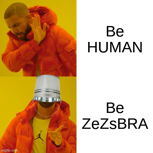 Drake Hotline Bling | Be HUMAN; Be ZeZsBRA | image tagged in memes,drake hotline bling | made w/ Imgflip meme maker