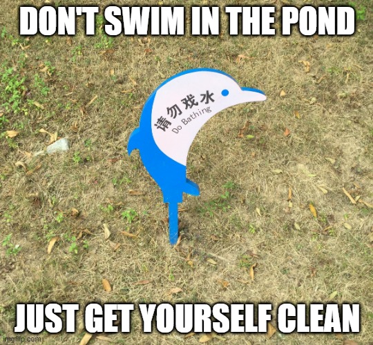 Do Bathing | DON'T SWIM IN THE POND; JUST GET YOURSELF CLEAN | image tagged in hygiene,china,chinese signs,signs,public,swimming | made w/ Imgflip meme maker