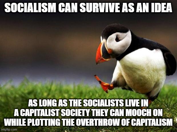 The only thing that can stop socialism is when it meets reality | SOCIALISM CAN SURVIVE AS AN IDEA; AS LONG AS THE SOCIALISTS LIVE IN A CAPITALIST SOCIETY THEY CAN MOOCH ON WHILE PLOTTING THE OVERTHROW OF CAPITALISM | image tagged in memes,unpopular opinion puffin,socialism | made w/ Imgflip meme maker