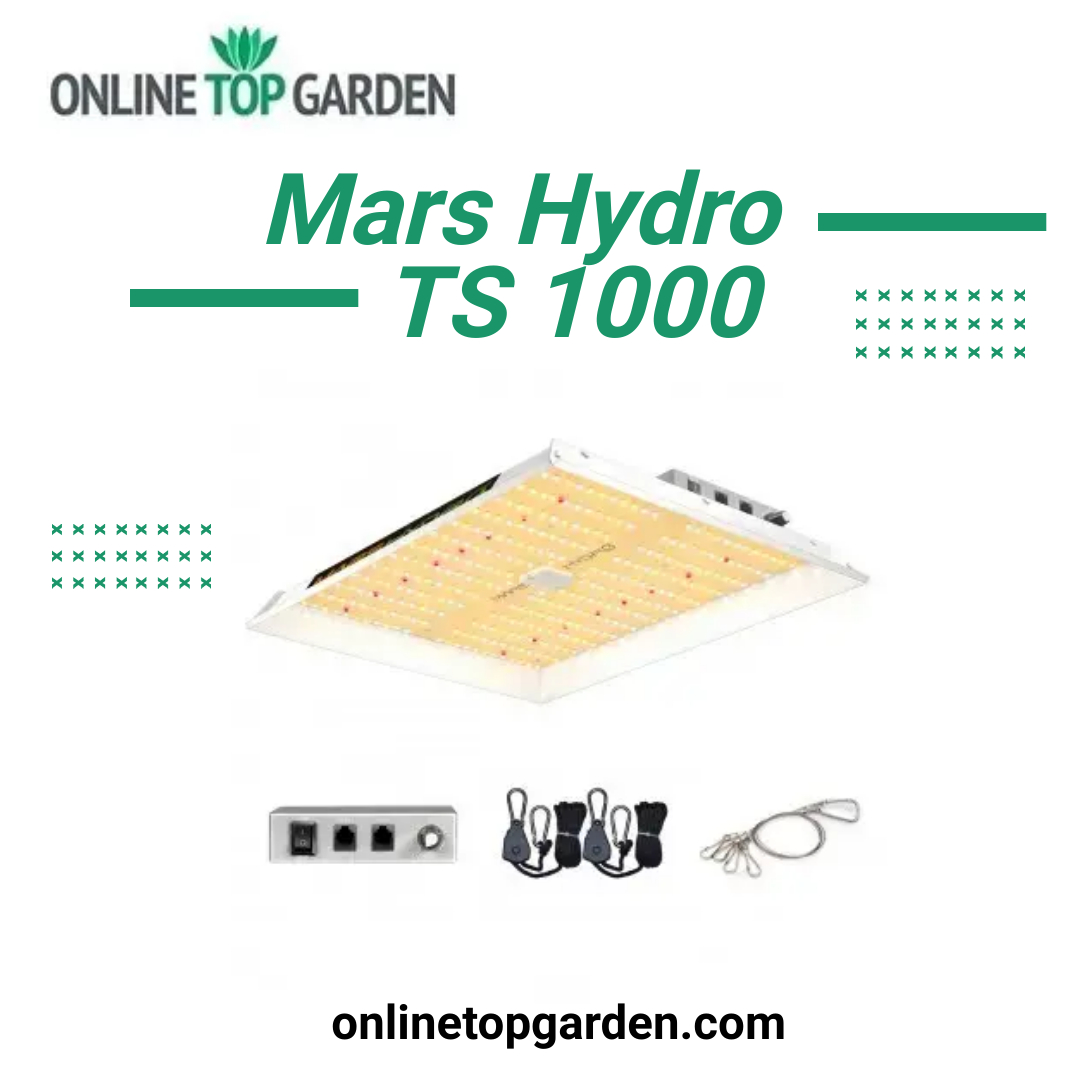 High Quality Mars Hydro TS 1000 Blank Meme Template