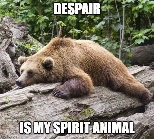 I light up at the thought of it | DESPAIR; IS MY SPIRIT ANIMAL | image tagged in procrastination bear,memes,despair,spirit animal | made w/ Imgflip meme maker