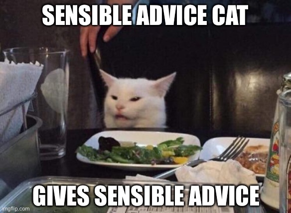 Sensible advice cat | SENSIBLE ADVICE CAT; GIVES SENSIBLE ADVICE | image tagged in salad cat,advice,cat,woman yelling at cat | made w/ Imgflip meme maker