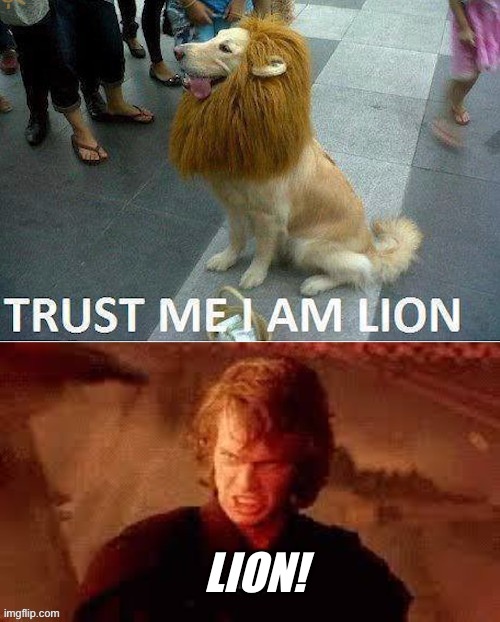 Iron Lion Zion | LION! | image tagged in iron,lion,zion,lying,dogs | made w/ Imgflip meme maker