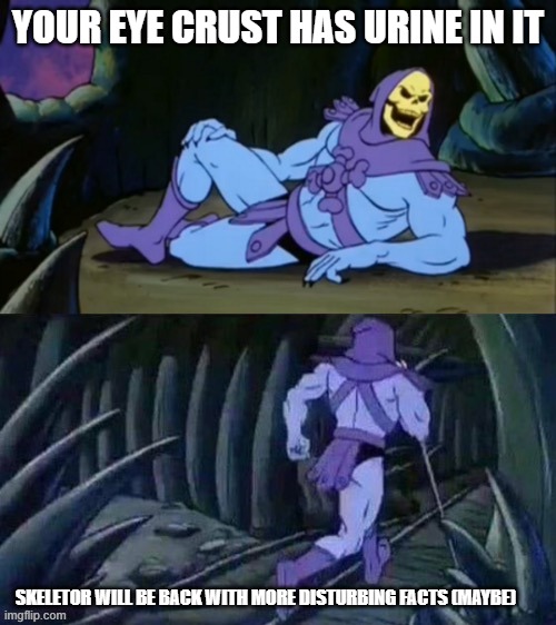 hope you can sleep after I upload this | YOUR EYE CRUST HAS URINE IN IT; SKELETOR WILL BE BACK WITH MORE DISTURBING FACTS (MAYBE) | image tagged in skeletor disturbing facts | made w/ Imgflip meme maker