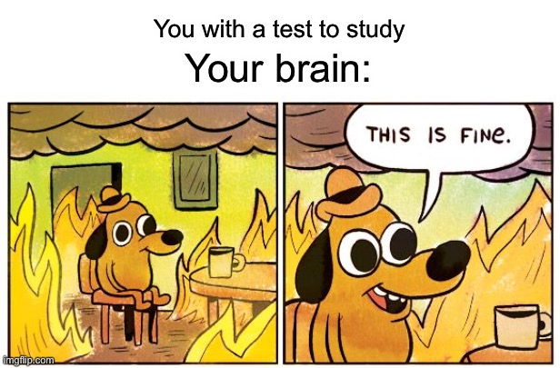 Tests | You with a test to study; Your brain: | image tagged in memes,this is fine | made w/ Imgflip meme maker