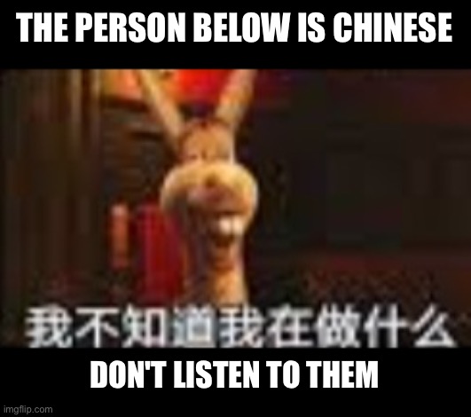 d o n k e y | THE PERSON BELOW IS CHINESE; DON'T LISTEN TO THEM | image tagged in d o n k e y | made w/ Imgflip meme maker