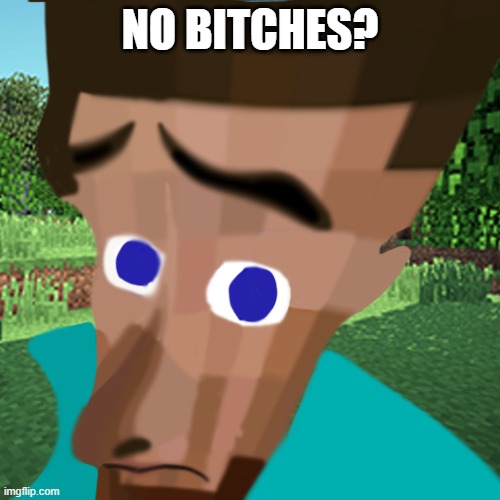 NO BITCHES | NO BITCHES? | image tagged in no bitches | made w/ Imgflip meme maker