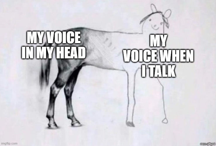 free lemon extract | MY VOICE IN MY HEAD; MY VOICE WHEN I TALK | image tagged in horse drawing | made w/ Imgflip meme maker