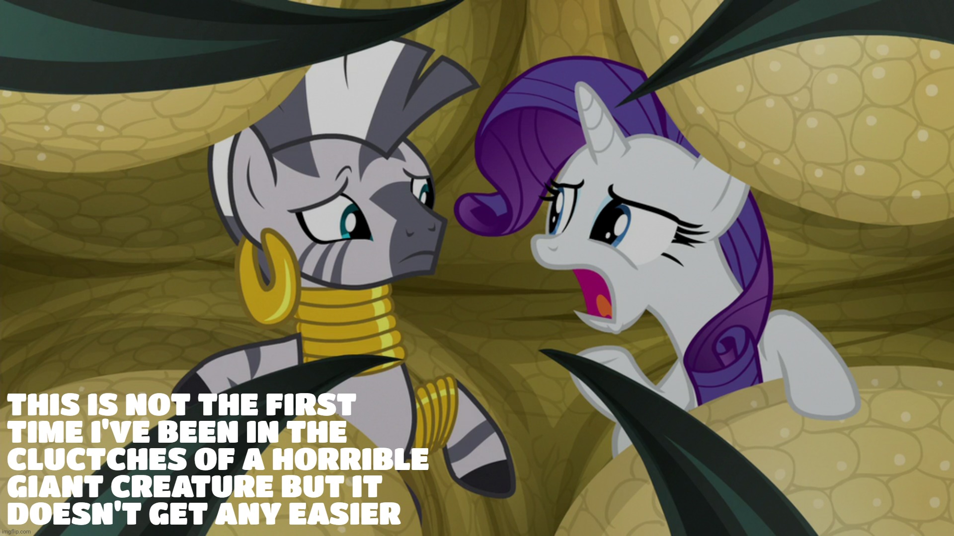 image tagged in my little pony friendship is magic,zecora,rarity | made w/ Imgflip meme maker