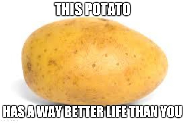 Potato | THIS POTATO; HAS A WAY BETTER LIFE THAN YOU | image tagged in potato | made w/ Imgflip meme maker