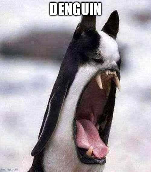 DENGUIN | made w/ Imgflip meme maker