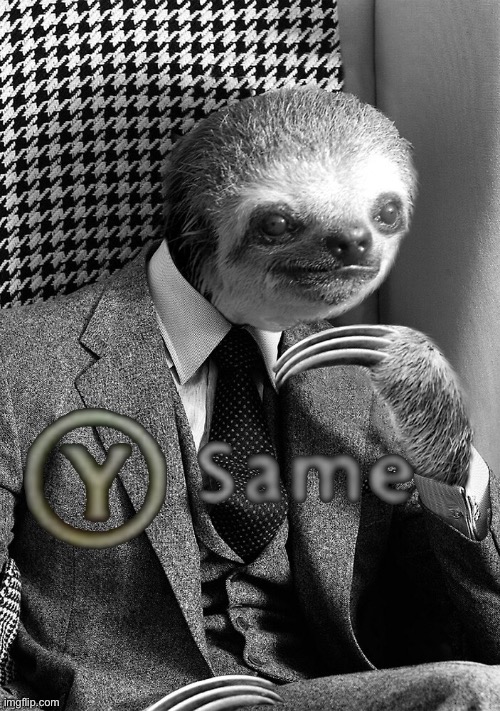 Gentleman sloth y same | image tagged in gentleman sloth y same | made w/ Imgflip meme maker
