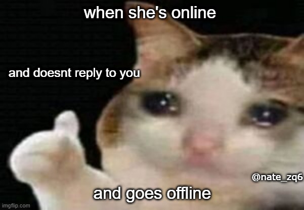 crying cat thumbs up | when she's online; and doesnt reply to you; and goes offline; @nate_zq6 | image tagged in crying cat thumbs up | made w/ Imgflip meme maker