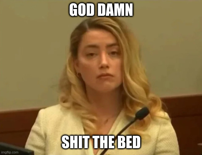 Amber Turd | GOD DAMN; SHIT THE BED | image tagged in amber turd | made w/ Imgflip meme maker