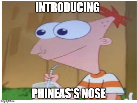 The more u look at it the less cursed it seems | INTRODUCING; PHINEAS'S NOSE | image tagged in phineas and ferb | made w/ Imgflip meme maker