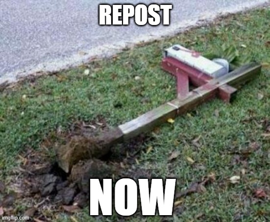 please repost | REPOST; NOW | image tagged in please repost | made w/ Imgflip meme maker