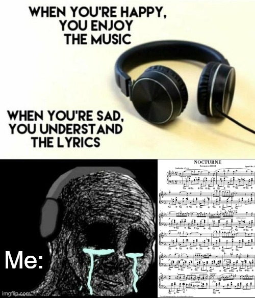 I do not understand the lyrics... but i understand the melody... | Me: | image tagged in sad lyrics | made w/ Imgflip meme maker