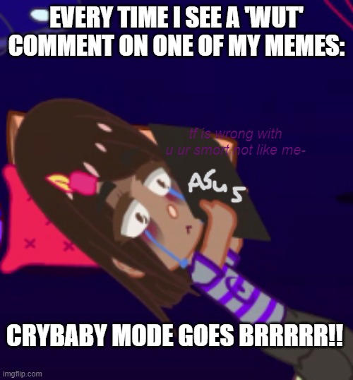 AAAAAAAAAAAAAAAAAAAAAAAHH | EVERY TIME I SEE A 'WUT' COMMENT ON ONE OF MY MEMES:; tf is wrong with u ur smort not like me-; CRYBABY MODE GOES BRRRRR!! | image tagged in why are you gay,why are you booing me i'm right,why are you reading the tags | made w/ Imgflip meme maker